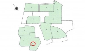 呉市三和町、土地の間取り画像です