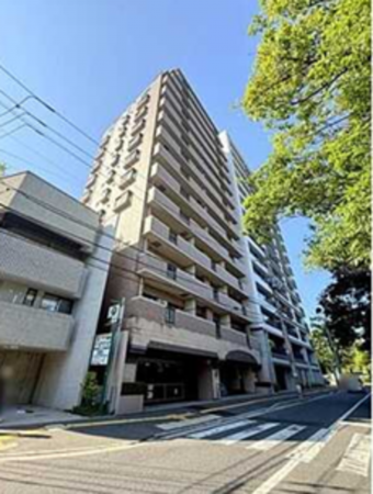 広島市中区中島町、マンションの画像です