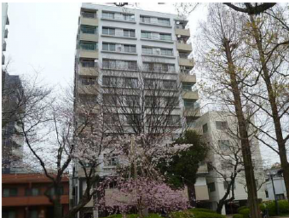 広島市中区本川町、マンションの外観画像です