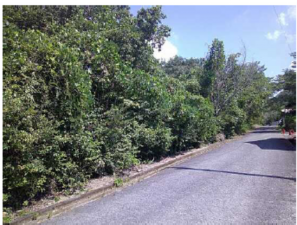 呉市押込、土地の画像です