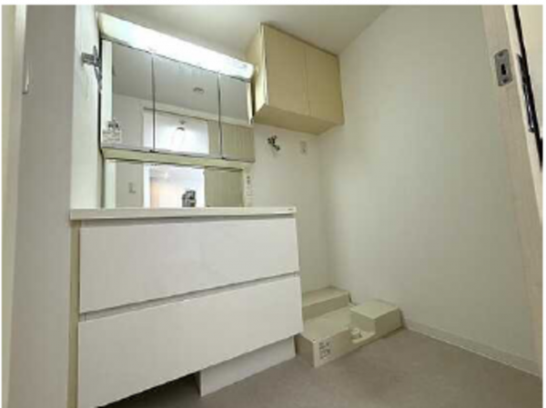 広島市西区南観音町、マンションの洗面画像です