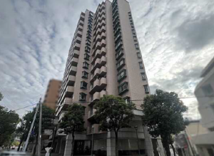 広島市中区西平塚町、マンションの外観画像です