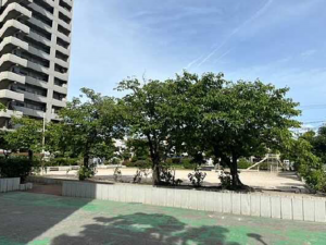 広島市中区江波南、マンションの画像です