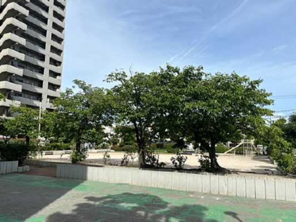 広島市中区江波南、マンションの画像です