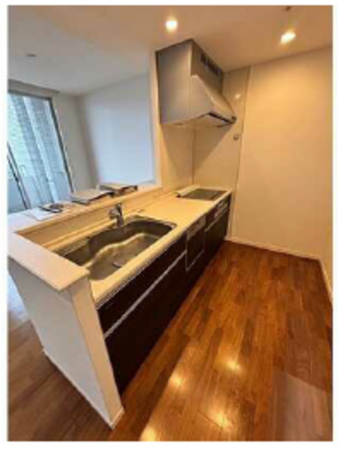 広島市中区東白島町、マンションのキッチン画像です