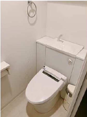 広島市中区十日市町、マンションのトイレ画像です