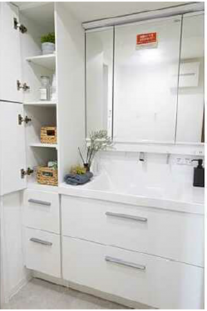 広島市中区江波南、マンションの洗面画像です