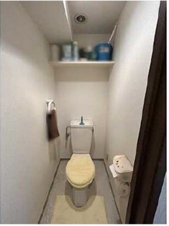 広島市西区古江上、マンションのトイレ画像です