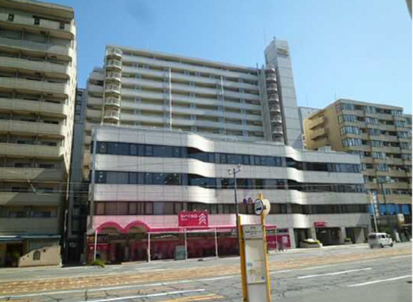 広島市中区猫屋町、マンションの外観画像です