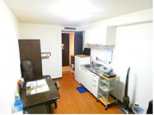 広島市中区十日市町、マンションの居間画像です