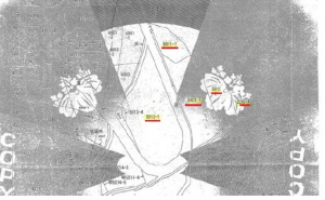 呉市広町、土地の間取り画像です