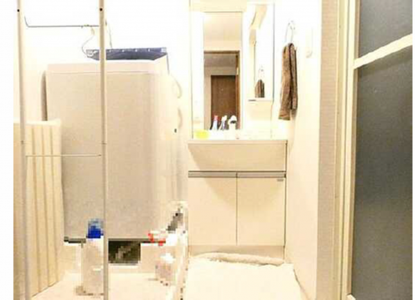 広島市中区小町、マンションの洗面画像です