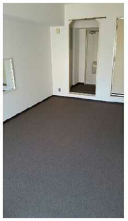 広島市中区西平塚町、収益物件/マンションの居間画像です