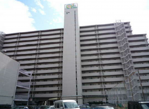 広島市南区宇品御幸、マンションの外観画像です