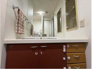 広島市東区牛田早稲田、マンションの洗面画像です