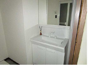 広島市東区上温品、マンションの洗面画像です