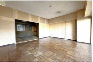 広島市中区舟入南、マンションの居間画像です