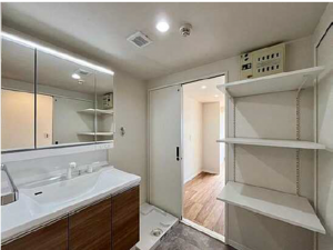 広島市南区青崎、マンションの洗面画像です