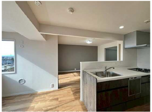 広島市南区青崎、マンションのキッチン画像です