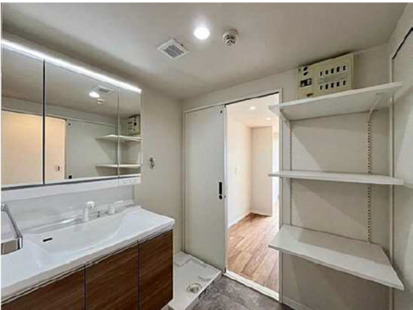 広島市南区青崎、マンションの洗面画像です