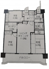 広島市中区加古町、マンションの間取り画像です