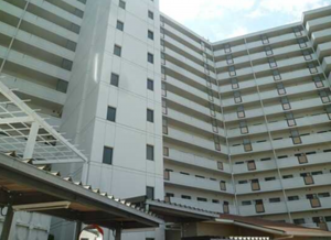 広島市中区江波南、マンションの外観画像です