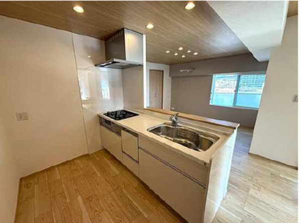 広島市南区東雲、マンションのキッチン画像です