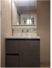 広島市中区白島九軒町、マンションの洗面画像です