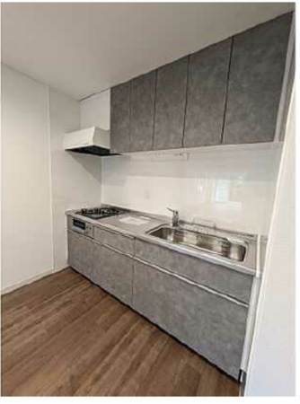 広島市中区鶴見町、マンションのキッチン画像です