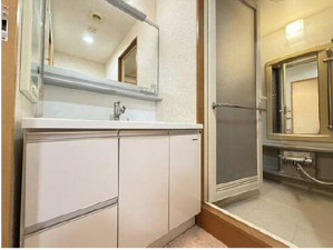 広島市西区井口台、マンションの洗面画像です