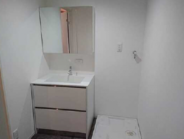 広島市中区国泰寺町、マンションの洗面画像です