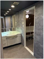 広島市南区出島、マンションの洗面画像です