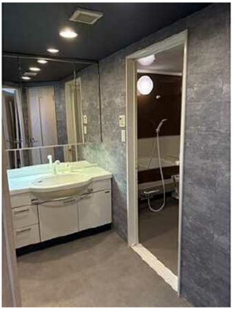 広島市南区出島、マンションの洗面画像です