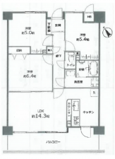 広島市西区庚午北、マンションの間取り画像です