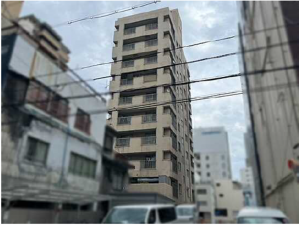 広島市中区大手町、マンションの外観画像です