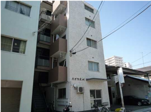 広島市南区大州、収益物件/マンションの外観画像です