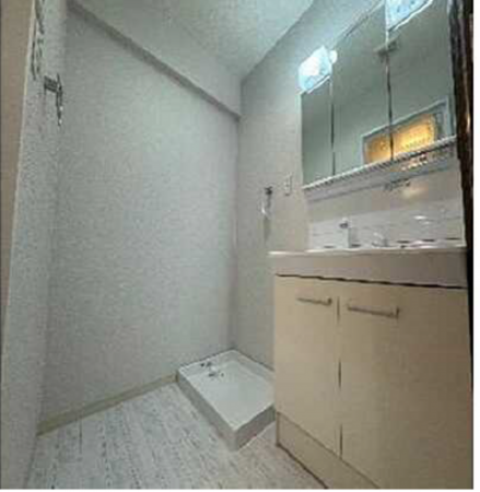 広島市西区観音町、マンションの洗面画像です