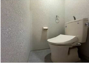 広島市中区竹屋町、マンションのトイレ画像です