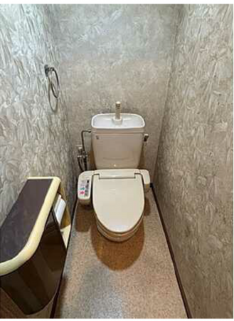 広島市中区大手町、マンションのトイレ画像です