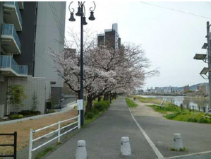 広島市中区西白島町、マンションの画像です