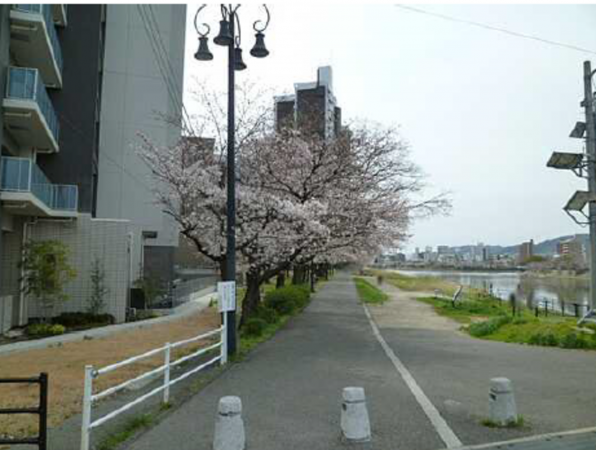 広島市中区西白島町、マンションの画像です