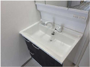 広島市中区大手町、マンションの洗面画像です
