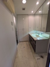 名古屋市千種区谷口町、マンションの洗面画像です