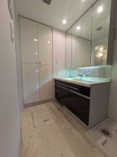 名古屋市千種区谷口町、マンションの洗面画像です