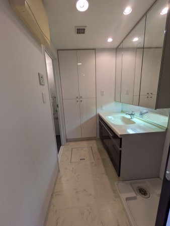 名古屋市千種区谷口町、マンションの洗面画像です