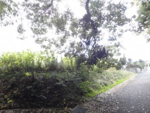日進市米野木町、土地の画像です