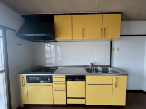名古屋市天白区島田が丘、マンションのキッチン画像です