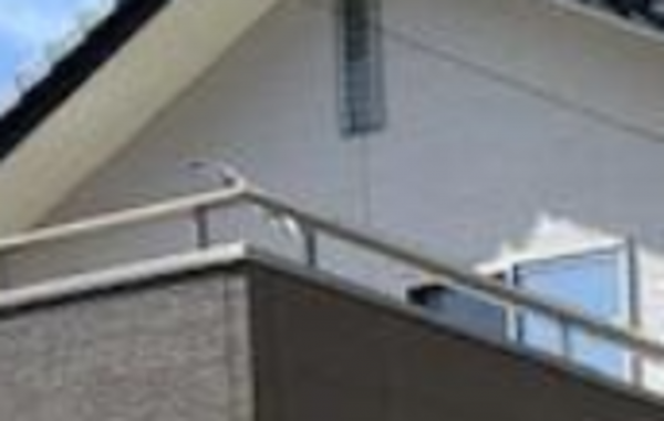 愛知郡東郷町白鳥、土地の画像です