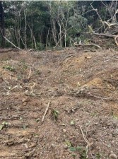 豊橋市大岩町、土地の画像です