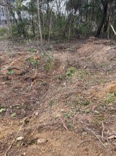 豊橋市大岩町、土地の画像です